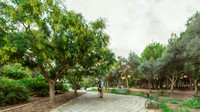 Ta' Qali